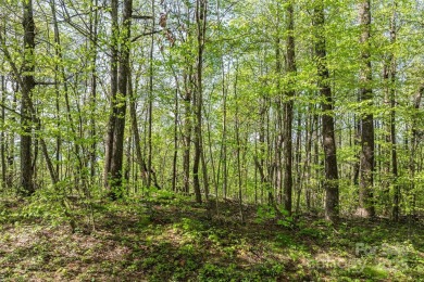Discover your dream retreat on this stunning 0.95-acre wooded on The Cliffs Valley in North Carolina - for sale on GolfHomes.com, golf home, golf lot