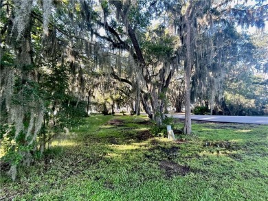 Lot 16 at Sutherland Bluff Plantation is conveniently located on Sapelo Hammock Golf Club in Georgia - for sale on GolfHomes.com, golf home, golf lot