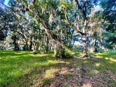 Lot 16 at Sutherland Bluff Plantation is conveniently located on Sapelo Hammock Golf Club in Georgia - for sale on GolfHomes.com, golf home, golf lot