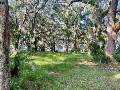 Lot 16 at Sutherland Bluff Plantation is conveniently located on Sapelo Hammock Golf Club in Georgia - for sale on GolfHomes.com, golf home, golf lot