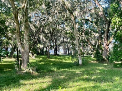 Lot 16 at Sutherland Bluff Plantation is conveniently located on Sapelo Hammock Golf Club in Georgia - for sale on GolfHomes.com, golf home, golf lot