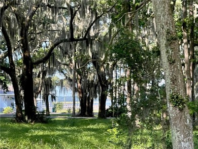 Lot 16 at Sutherland Bluff Plantation is conveniently located on Sapelo Hammock Golf Club in Georgia - for sale on GolfHomes.com, golf home, golf lot