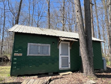 A Rare Opportunity to Own a Lakeside Retreat with Endless on Hoosier Links Golf Club in Indiana - for sale on GolfHomes.com, golf home, golf lot