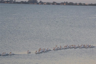 Waterfront End Unit with Breathtaking Sunsets & Natural Charm! on IMG Academies Golf and Country Club in Florida - for sale on GolfHomes.com, golf home, golf lot
