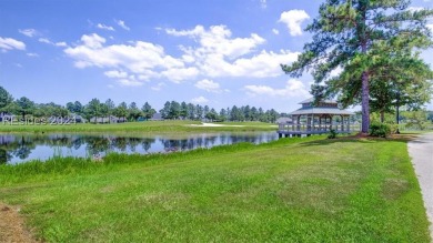 Step into luxury living at Hilton Head Lakes! This stunning on Hilton Head Lakes Golf Club in South Carolina - for sale on GolfHomes.com, golf home, golf lot