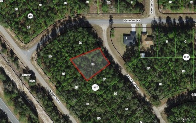 Buildable homesite in Citrus Springs offering an excellent on Citrus Springs Country Club in Florida - for sale on GolfHomes.com, golf home, golf lot