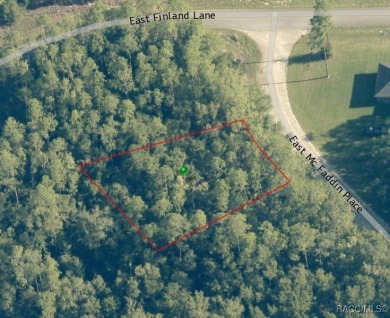Buildable homesite in Citrus Springs offering an excellent on Citrus Springs Country Club in Florida - for sale on GolfHomes.com, golf home, golf lot