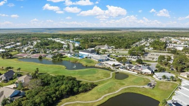 Imagine waking up to breathtaking views of the golf course and on The Great Outdoors Golf and Country Club in Florida - for sale on GolfHomes.com, golf home, golf lot