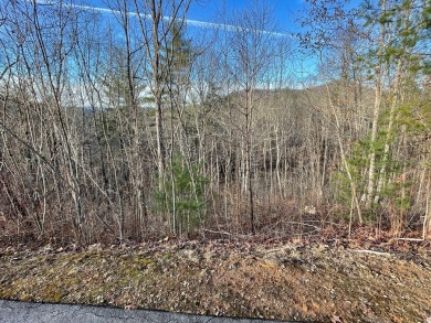 GENTLE LOT IN GATED GOLF COURSE COMMUNITY IN THE MOUNTAINS OF on Mountain Harbour Golf Club in North Carolina - for sale on GolfHomes.com, golf home, golf lot