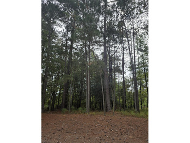 Build your dream home in the exclusive Champions Retreat Golf on Champions Retreat Golf Club in Georgia - for sale on GolfHomes.com, golf home, golf lot