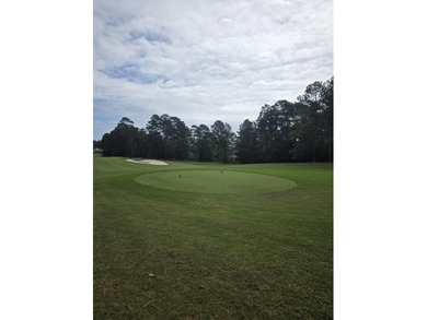 Build your dream home in the exclusive Champions Retreat Golf on Champions Retreat Golf Club in Georgia - for sale on GolfHomes.com, golf home, golf lot