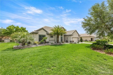 Stunning Pool Home in Terra Vista - Former Builder's Showcase! on Skyview At Terra Vista Golf and Country Club in Florida - for sale on GolfHomes.com, golf home, golf lot