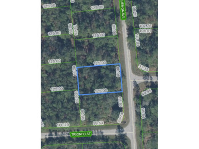 Nestled within the vibrant community of Sebring, this property on Sun n Lake Golf and Country Club in Florida - for sale on GolfHomes.com, golf home, golf lot