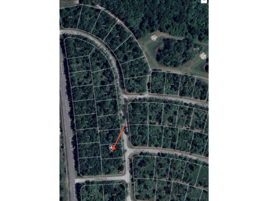 Nestled within the vibrant community of Sebring, this property on Sun n Lake Golf and Country Club in Florida - for sale on GolfHomes.com, golf home, golf lot