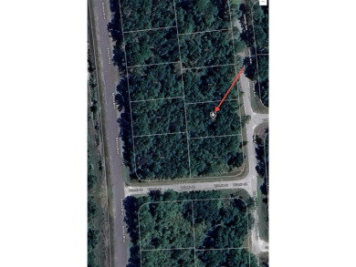 Nestled within the vibrant community of Sebring, this property on Sun n Lake Golf and Country Club in Florida - for sale on GolfHomes.com, golf home, golf lot