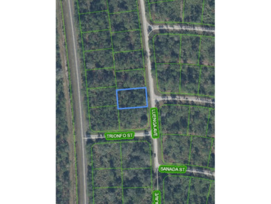 Nestled within the vibrant community of Sebring, this property on Sun n Lake Golf and Country Club in Florida - for sale on GolfHomes.com, golf home, golf lot