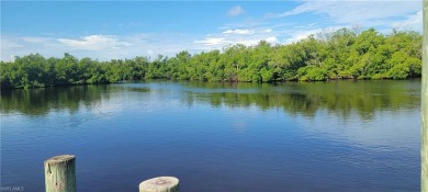 Rare Waterfront Opportunity - Fully Remodeled  Gulf Access!

 on Pelicans Nest Golf Club in Florida - for sale on GolfHomes.com, golf home, golf lot