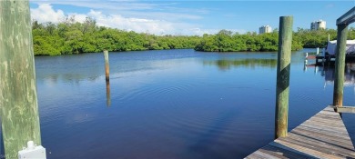 Rare Waterfront Opportunity - Fully Remodeled  Gulf Access!

 on Pelicans Nest Golf Club in Florida - for sale on GolfHomes.com, golf home, golf lot