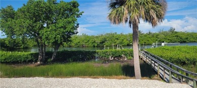 Rare Waterfront Opportunity - Fully Remodeled  Gulf Access!

 on Pelicans Nest Golf Club in Florida - for sale on GolfHomes.com, golf home, golf lot