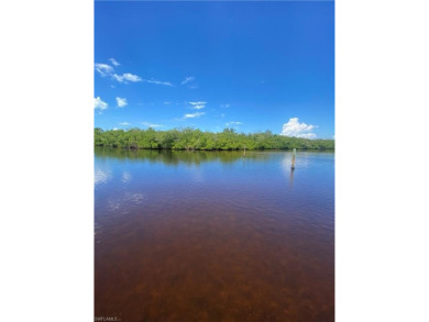 Rare Waterfront Opportunity - Fully Remodeled  Gulf Access!

 on Pelicans Nest Golf Club in Florida - for sale on GolfHomes.com, golf home, golf lot