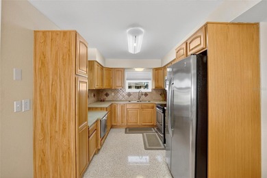 Charming Bungalow in Sun City Center - Move-In Ready & Fully on North Lakes Golf Course in Florida - for sale on GolfHomes.com, golf home, golf lot