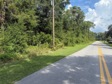 Build Your Dream Estate on 6+ Acres in Crystal River! Welcome to on Seven Rivers Golf and Country Club in Florida - for sale on GolfHomes.com, golf home, golf lot