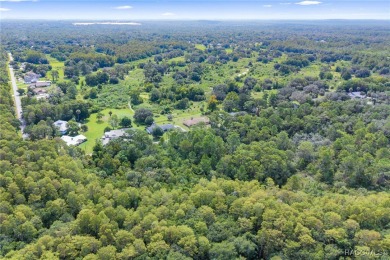 Build Your Dream Estate on 6+ Acres in Crystal River! Welcome to on Seven Rivers Golf and Country Club in Florida - for sale on GolfHomes.com, golf home, golf lot