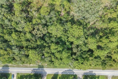 Build Your Dream Estate on 6+ Acres in Crystal River! Welcome to on Seven Rivers Golf and Country Club in Florida - for sale on GolfHomes.com, golf home, golf lot