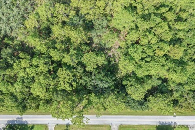 Build Your Dream Estate on 6+ Acres in Crystal River! Welcome to on Seven Rivers Golf and Country Club in Florida - for sale on GolfHomes.com, golf home, golf lot