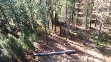 Welcome to peace and quiet. This 2/3 of an acre view lot in on Terrace Lakes Golf Resort in Idaho - for sale on GolfHomes.com, golf home, golf lot