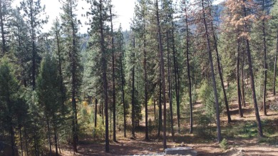 Welcome to peace and quiet. This 2/3 of an acre view lot in on Terrace Lakes Golf Resort in Idaho - for sale on GolfHomes.com, golf home, golf lot
