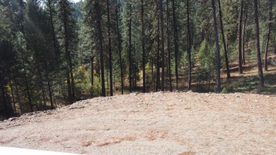 Welcome to peace and quiet. This 2/3 of an acre view lot in on Terrace Lakes Golf Resort in Idaho - for sale on GolfHomes.com, golf home, golf lot
