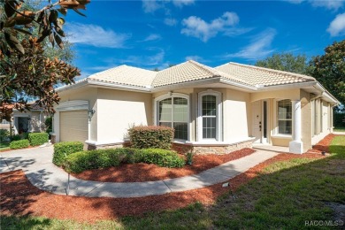 Experience resort-style living in the prestigious Terra Vista on Skyview At Terra Vista Golf and Country Club in Florida - for sale on GolfHomes.com, golf home, golf lot