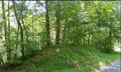 Beautiful Wooded 1.36 Acre lot in the Blue Ridge Mountains near on Mountain Harbour Golf Club in North Carolina - for sale on GolfHomes.com, golf home, golf lot