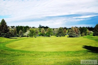 If you're looking for something low maintenance, walking on Idaho Falls Country Club in Idaho - for sale on GolfHomes.com, golf home, golf lot