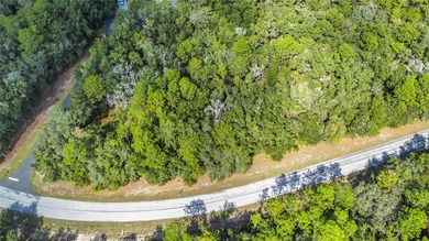 Approximately one-third acre homesite with beautiful trees on Citrus Springs Country Club in Florida - for sale on GolfHomes.com, golf home, golf lot