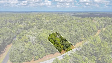 Approximately one-third acre homesite with beautiful trees on Citrus Springs Country Club in Florida - for sale on GolfHomes.com, golf home, golf lot