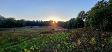 Tucked between Silver Lake and Stony Lake and just minutes from on Benona Shores Golf Course in Michigan - for sale on GolfHomes.com, golf home, golf lot