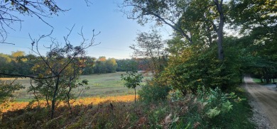 Tucked between Silver Lake and Stony Lake and just minutes from on Benona Shores Golf Course in Michigan - for sale on GolfHomes.com, golf home, golf lot