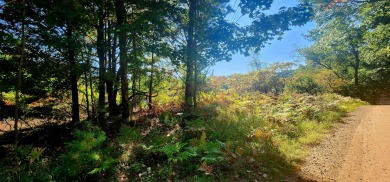 Tucked between Silver Lake and Stony Lake and just minutes from on Benona Shores Golf Course in Michigan - for sale on GolfHomes.com, golf home, golf lot