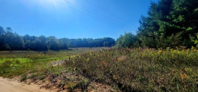 Tucked between Silver Lake and Stony Lake and just minutes from on Benona Shores Golf Course in Michigan - for sale on GolfHomes.com, golf home, golf lot