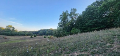 Tucked between Silver Lake and Stony Lake and just minutes from on Benona Shores Golf Course in Michigan - for sale on GolfHomes.com, golf home, golf lot