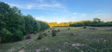 Tucked between Silver Lake and Stony Lake and just minutes from on Benona Shores Golf Course in Michigan - for sale on GolfHomes.com, golf home, golf lot
