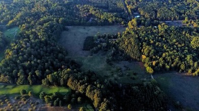 Tucked between Silver Lake and Stony Lake and just minutes from on Benona Shores Golf Course in Michigan - for sale on GolfHomes.com, golf home, golf lot