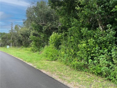 Explore this exceptional 0.25-acre estate lot in the highly on Sugarmill Woods Golf and Country Club in Florida - for sale on GolfHomes.com, golf home, golf lot