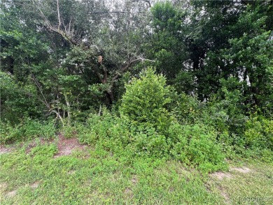 Explore this exceptional 0.25-acre estate lot in the highly on Sugarmill Woods Golf and Country Club in Florida - for sale on GolfHomes.com, golf home, golf lot