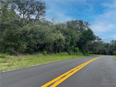 Explore this exceptional 0.25-acre estate lot in the highly on Sugarmill Woods Golf and Country Club in Florida - for sale on GolfHomes.com, golf home, golf lot