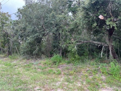 Explore this exceptional 0.25-acre estate lot in the highly on Sugarmill Woods Golf and Country Club in Florida - for sale on GolfHomes.com, golf home, golf lot