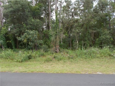 SUPER WOODED BUILDING LOT LOCATED IN THE GOLF COURSE COMMUNITY on Citrus Hills Golf Club in Florida - for sale on GolfHomes.com, golf home, golf lot