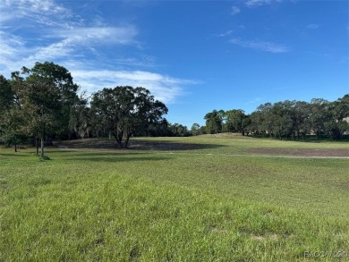 Build your dream home in the desirable Southern Woods a deed on Southern Woods Golf Club in Florida - for sale on GolfHomes.com, golf home, golf lot